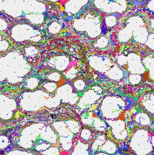 Snapshot of Long-Range
                Interactions on a Partially-Filled Lattice