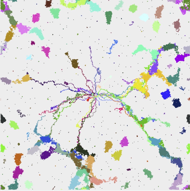 Snapshot of Long-Range
                Interactions on a Partially-Filled Lattice