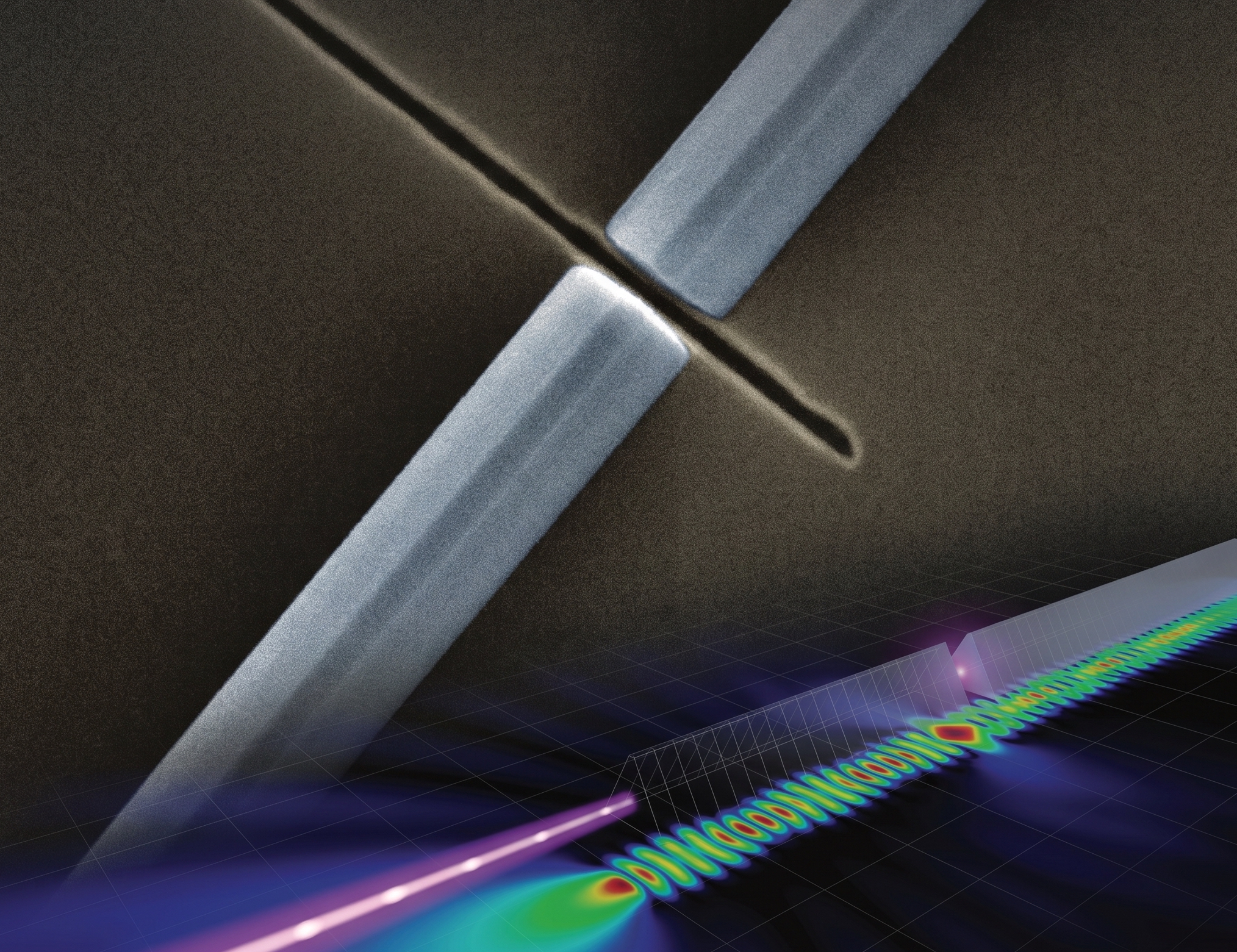 Graphic for PNAS article