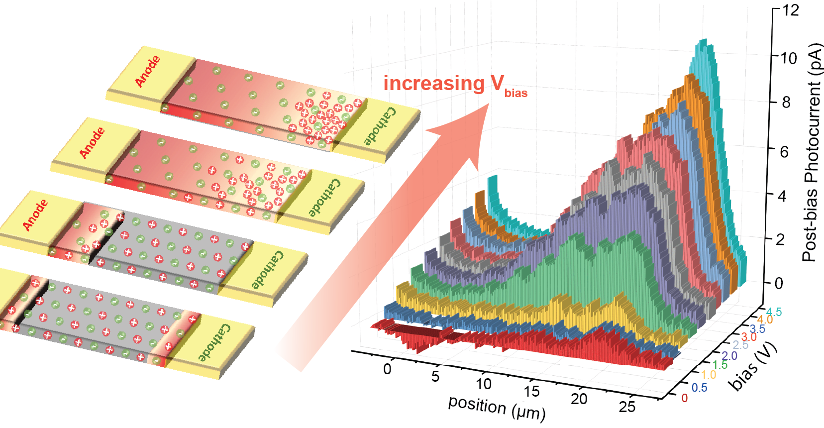 Graphic for ACS publication